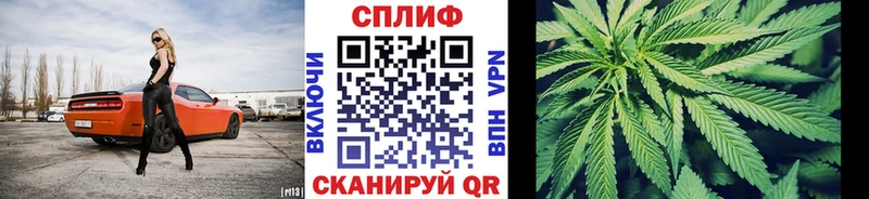 купить закладку  Лянтор  Канабис конопля 
